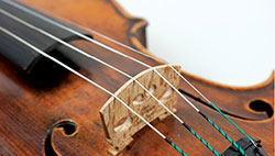 Violine und Kontrabass Saiten
